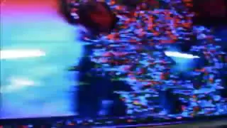 GONE X AGNARKEA - F*CK DEM BUSTAS