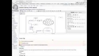 WikiPathways Java Applet Editor: Chrome - Enable NPAPI