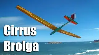 Cirrus Wings on Brolga Body