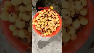 Chitrali Fruit