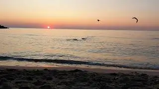 20190807 055759 1