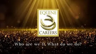 Equine Careers - who are we & what do we do?