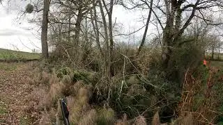 tir d'un renard en battue, 300 WM  n&deg;2