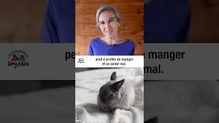Castration du lapin - Episode 1