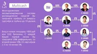 Площадка MULTICASH от L&S CLUB.