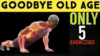 Every Seniors Should Do This 5 Exercises Daily 