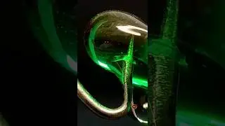 Fishing Hook and Softgel 