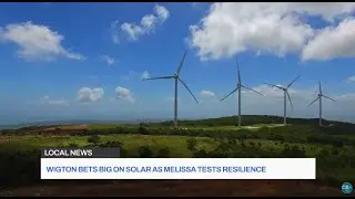 Wigton Energy делает большую ставку на солнечную энергетику, поскольку ураган Мелисса испытывает ...