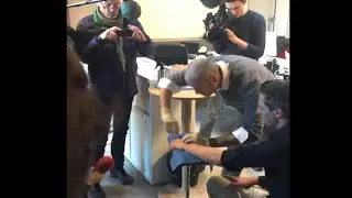 Des employ&eacute;s puc&eacute;s comme des chevaux