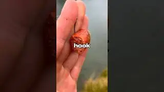 Fishing with a HOTDOG 🐟🎣 #fishing
