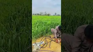 Field work