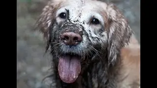 how to make mud in minecraft...