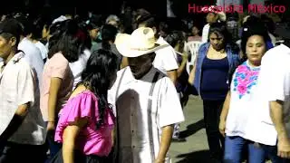 El Zopilotito | Trio Neblinas | Huapango