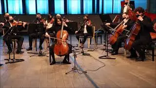 Camille Saint-Saëns - Allegro Appassionato Op.43 - Liszt Ferenc Chamber Orchestra Budapest