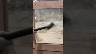 High Security Glass