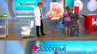 Все о прямой кишке. 24.01.2016