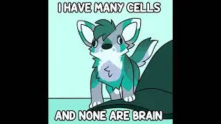furry memes 17