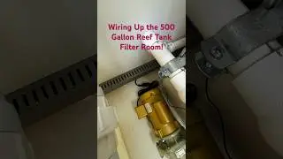 Wiring Up the 500 Gallon Reef Tank Filter Room! #mancavereef #saltwater #customaquarium #reefkeeping