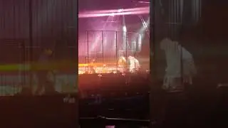 8 TIGRI al circo di Milano 🐅🐅🐅🐅🐅🐅🐅🐅