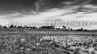 Noxious Weed Zombie