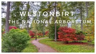 Westonbirt - The National Arboretum (Autumn/Fall 2022)