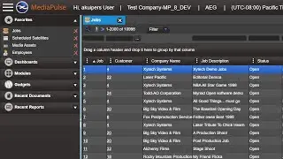 Add a Favorite to MediaPulse Version 8