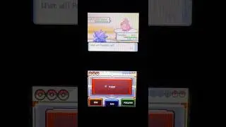 Pokemon Diamond Pearl Battle Tower 203rd win (200+ win streak achieved)