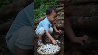 Nemu jamur sempagi banyak sekali. Senangnya.. #hidupdidesa #jamurliar #jamurbarat