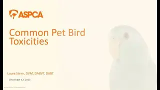 Pet Bird Toxicities with Laura Stern, DVM, DABVT, DABT, ASPCA Animal Poison Control Center