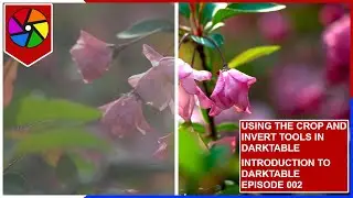 Darktable Crop and Invert - The Most Powerful Free Tool (2024)