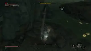 Sekiro : Controlling & Killing  