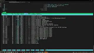 Установка и настройка инструмента управления конфигурацией [ Puppet Agent 8 ] - FreeBSD 14.2
