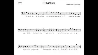 Tallis O Nata Lux Partbook bass learning file