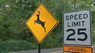 SAFETY ALERT: Watch out for deer on roadways right now