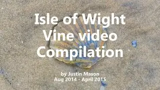Isle of Wight Vine video compilation - August 2014 to April 2015