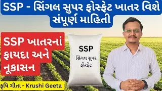 SSP - Complete information about Single Super Phosphate Fertilizer | Single Super Phosphate Fertilizer | Fertilizer | Khatar