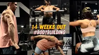 14 Weeks Out #bodybuilding #wellness #bikini #classic #physique