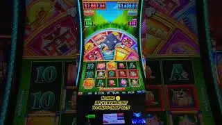 #thcslots #casino #foryou #fun #slots #bonus #gambling #win #trending #subscribe #huffandpuff #live
