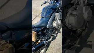 Honda CBF 600 🔥#motorcycle #shorts #youtubeshorts #short #trending
