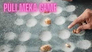 Puli meka aata 17