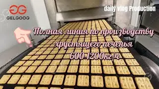Полная линия по производству хрустящего печенья 600-1200кг/ч