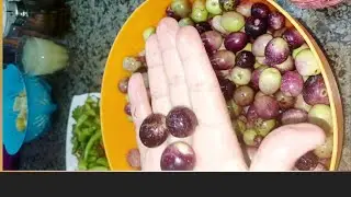سر أمي في تخليل الزيتون التفاحي الملون بدون ما تشقيه بدون مرارة يجنن هقولك الطريقه #food 🥰