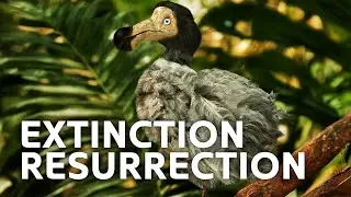 Discover Life Before Extinction: Dodo Birds
