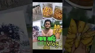 নানা বাড়ি ব্লগ🔥😋#shorts #barakah_kitchen