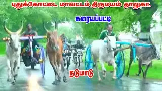 ⭕LIVE: (நேரலை) புதுக்கோட்டை மாவட்டம் கரையப்பட்டி நடுமாடு பந்தயம்