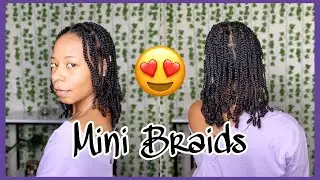Mini Braids | Easy Protective Style for Moisture and Hair Growth!