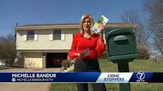 Crime Stoppers: Police search for mailbox thieves