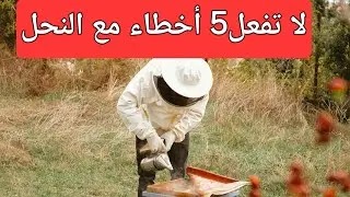 ٥ أخطاء يرتكبها النحال في بداية الربيع 😱 