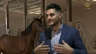 يوم جديد | إسطبلات السلطان لتربية  الخيول - تميم الحسن | مدرب خيول