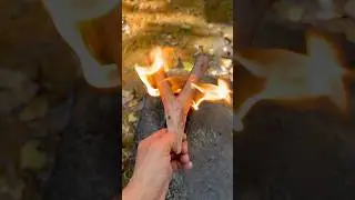 Эта рогатка легкая, прочная и мощная #на природе #выживание #бушкрафт #кемпинг